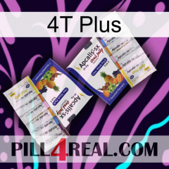 4T Plus 12